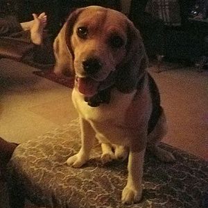 Meet your Posher, Brooke